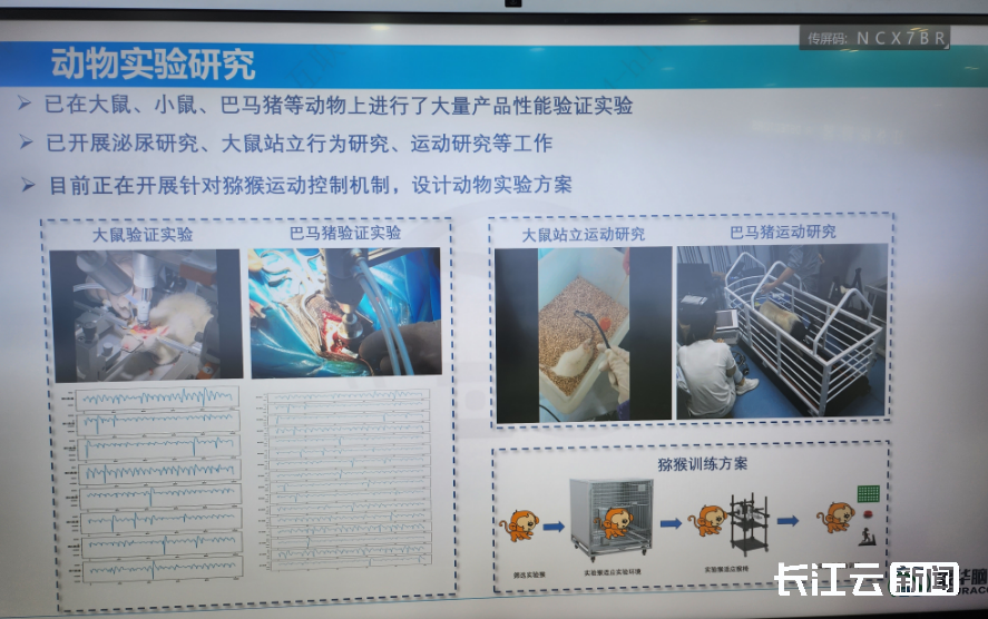 腦機展廳.png
